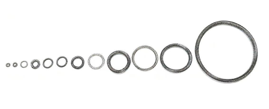 Various types of canted coil spring